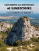 Exploring the Mysteries of Limestone with Hydroplate Theory by Ellen J. McHenry