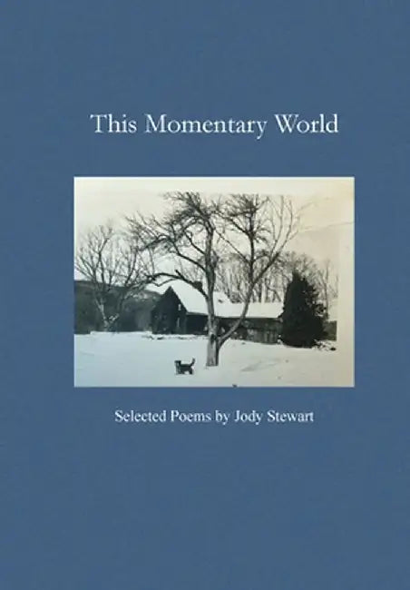 This Momentary World by Jody Stewart