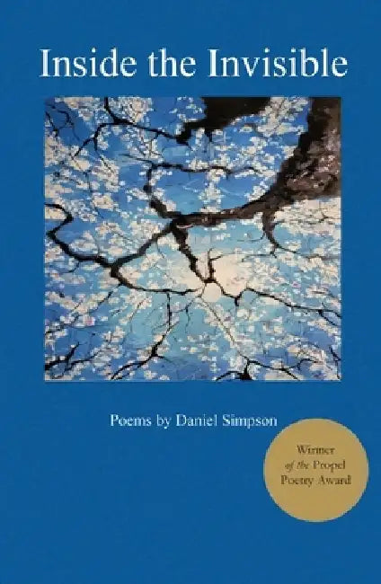 Inside the Invisible by Daniel Simpson