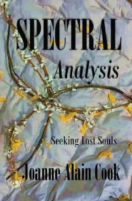 Spectral Analysis: Seeking Lost Souls by Joanne Alain Cook