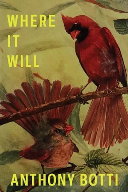 Where It Will by Anthony Botti