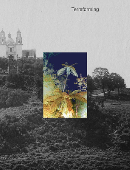 Terraforming: Olana's Historic Photography Collection Unearthed by Sean Sawyer