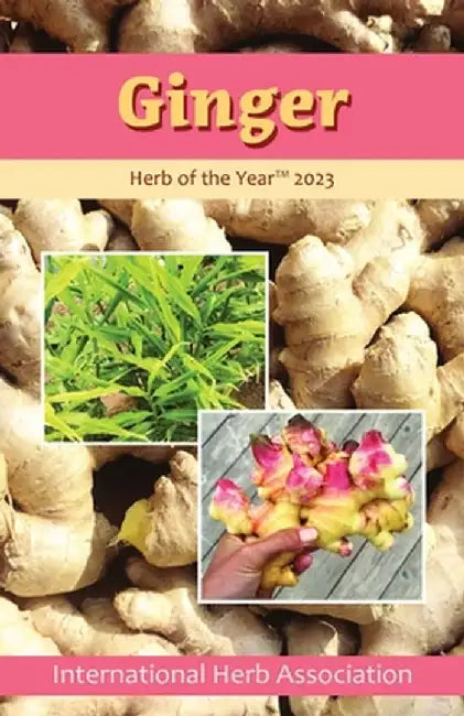 Ginger: Herb of the Year 2023 by Kathleen Connole