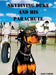 Skydiving Duke and his Parachute by Alex Coker