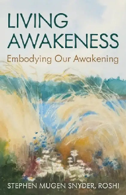 Living Awakeness: Embodying Your Awakening by Stephen Snyder