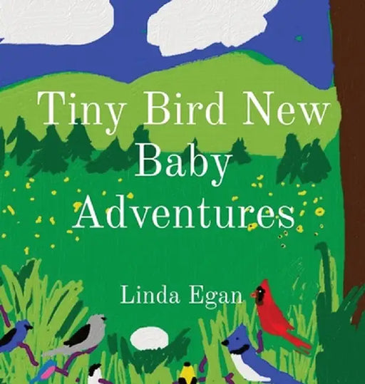 Tiny Bird New Baby Adventure by Linda M. Egan
