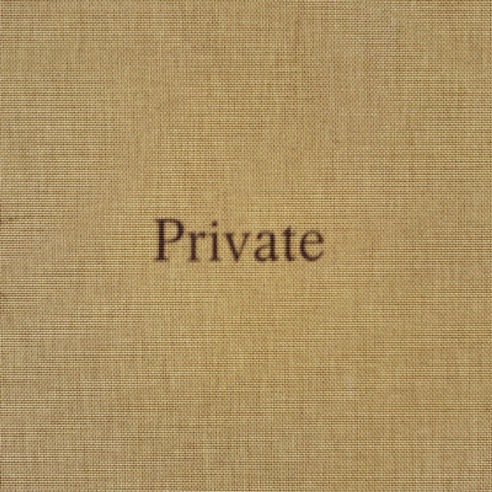 Tod Lippy: Private by Tod Lippy