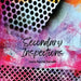 Secondary Inspections by Carla Rachel Sameth