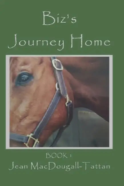 Biz's Journey Home by Jean Macdougall-Tattan