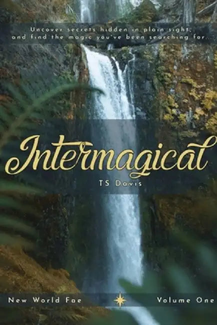 Intermagical by Ts Davis