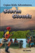 Cajun Kids Adventures- Volume Four: Storm Clouds by C. P. Landry