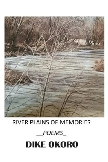 River Plains of Memories by Dike Okoro
