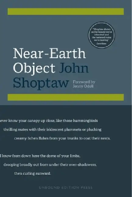 Near-Earth Object by John Shoptaw