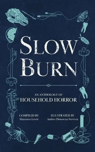 Slow Burn: An Anthology of Household Horror by Shannon Lewis