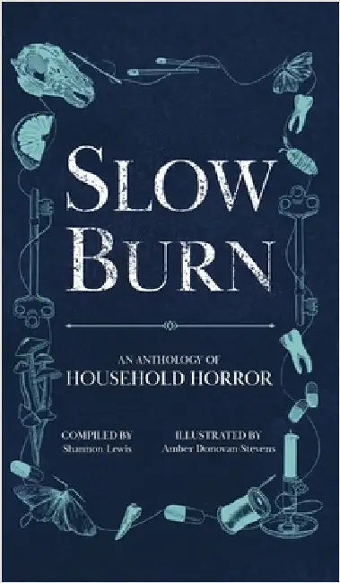 Slow Burn: An Anthology of Household Horror by Shannon Lewis