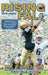 Rising thru every Fall: The Journey of a Notre Dame Football Player Overcoming Injuries, Changes, & Doubts by Matt Shelton