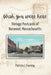 Wish You Were Here: Vintage Postcards of Norwood, Massachusetts by Patricia J. Fanning