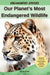 Our Planet's Most Endangered Wildlife by Kesem Books