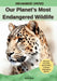 Our Planet's Most Endangered Wildlife by Kesem Books