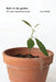Back to the Garden, The Magic of Gardening Therapy by Anne Dubitzky