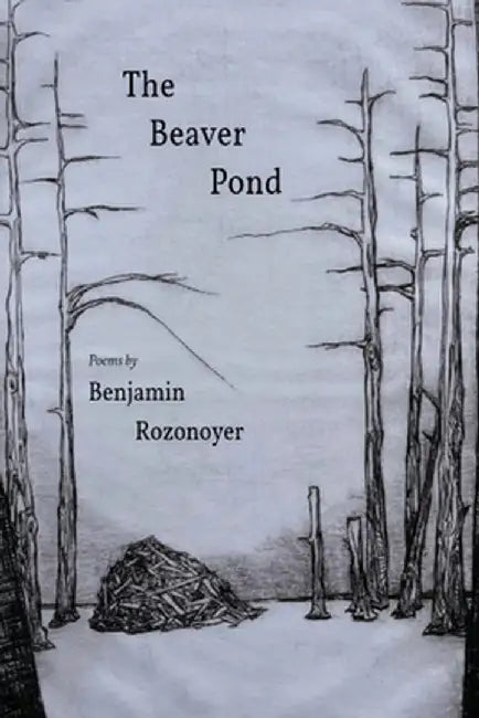 The Beaver Pond by Benjamin Rozonoyer