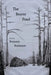 The Beaver Pond by Benjamin Rozonoyer