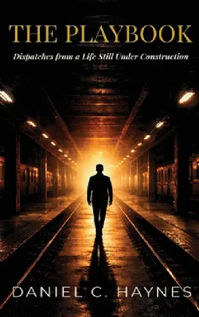 The Playbook: Dispatches from a Life Still Under Construction by Daniel C. Haynes