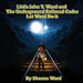 Little John T. Ward and the Underground Railroad Codes by Shanna Ward