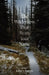 The Wilderness That Bears Your Name by James A. Pearson