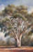 Tree Bark: The Hardcover Edition by Lance R. Higgins