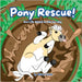 Pony Rescue!: Don't Be Afraid to Ask for Help by Clark, Allison