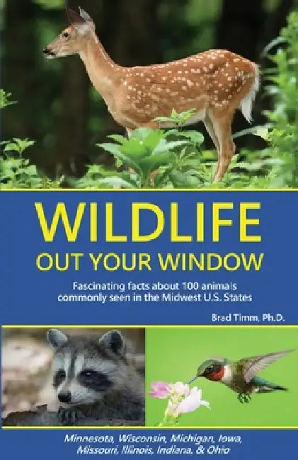 Wildlife Out Your Window: Fascinating Facts About 100 Animals Commonly Seen in the Midwest U.S. States by Brad Timm