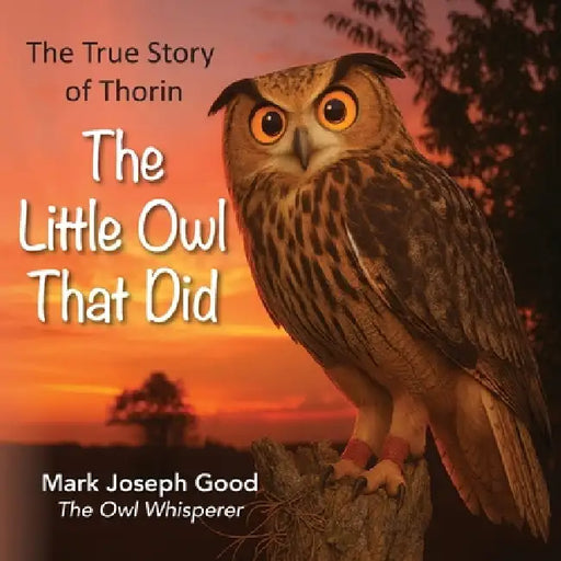 The Little Owl that Did by Mark Joseph Good