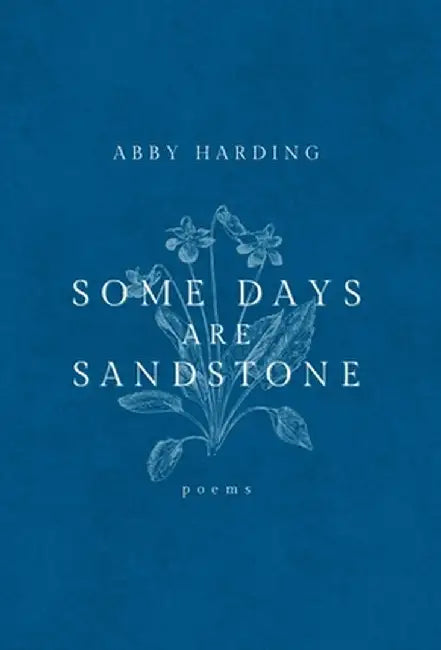 Some Days Are Sandstone by Abby Harding