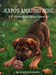 Kapo's Amazing Nose: A K-9 Search and Rescue Adventure by Connie Herrick, Mark Herrick