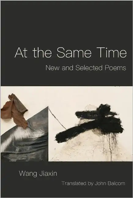 At the Same Time by Jiaxin, Wang