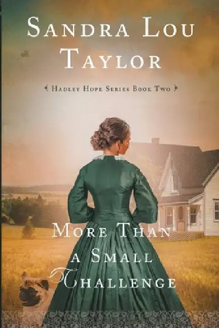 More Than a Small Challenge by Sandra Lou Taylor
