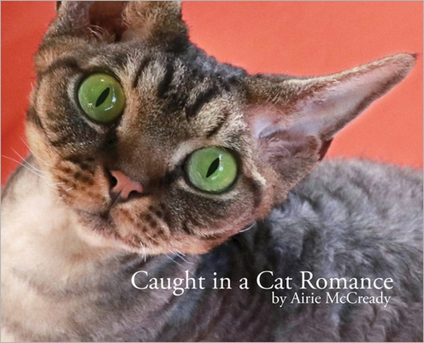 Caught in a Cat Romance by Airie McCready, Airie McCready, Jeff Bray