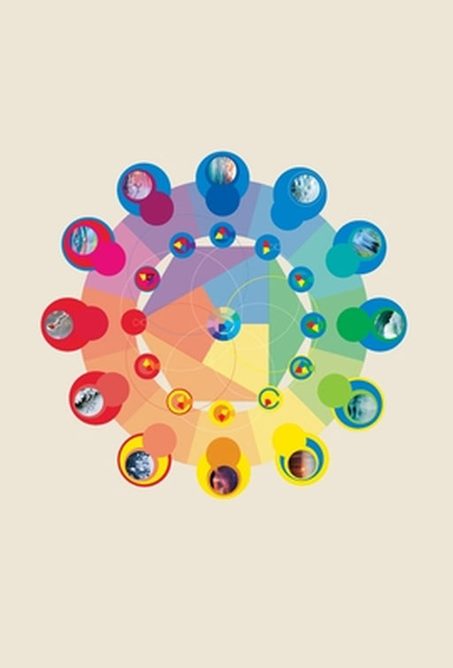 The Neurobiology of Connection: Re-Wilding Your Deep Nervous System for Wellbeing by Natureza Gabriel