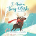 I Have a Tiny Wish by Eilnaz Barmayeh