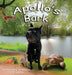 Apollo's Bark: A Children's Book About Patience, Kindness, and Building New Friendships: The Big Heart Adventures, Book 2 by V. W. Loveday