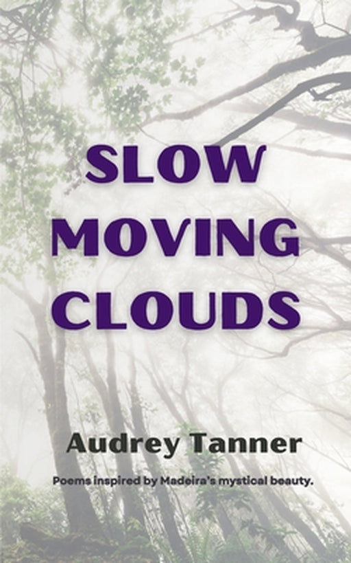 Slow Moving Clouds by Audrey Tanner