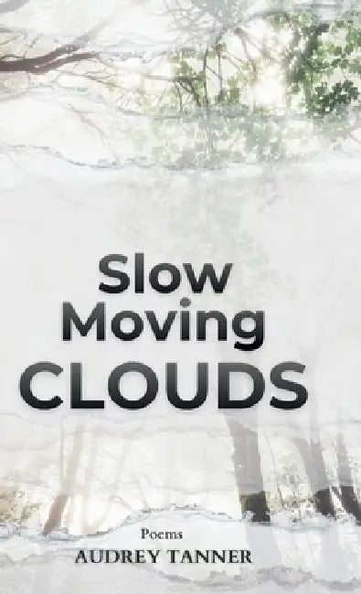 Slow Moving Clouds by Audrey Tanner
