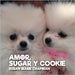 Amor, Sugar y Cookie by Chapman, Susan Marie