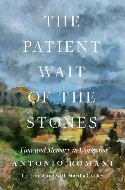 The Patient Wait of the Stones: Time and Memory in Lunigiana by Antonio Romani, Martha Cooley