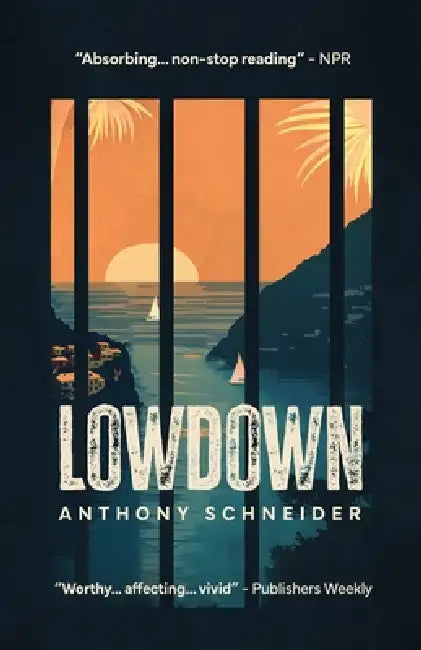 Lowdown by Anthony Schneider