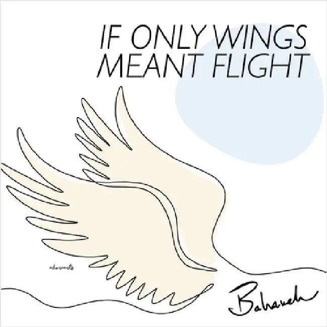 If Only Wings Meant Flight by Amidi, Bahareh