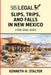 Slips, Trips, and Falls in New Mexico: A 505 Legal Guide by Kenneth Stalter