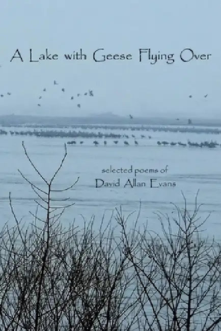 A Lake with Geese Flying Over: selected poems of David Allan Evans by David Allan Evans