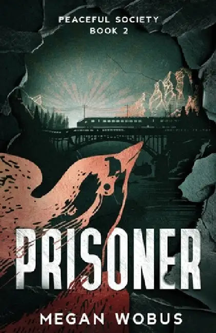 Prisoner by Megan Wobus